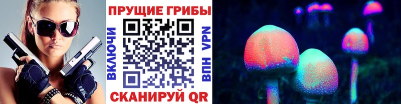 где найти   Тамбов  Псилоцибиновые грибы Magic Shrooms 