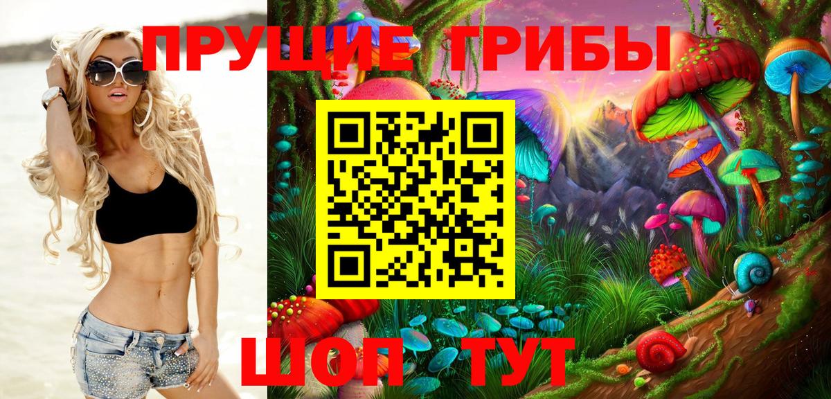 Тамбов  Псилоцибиновые грибы мухоморы  Вход с VPN 