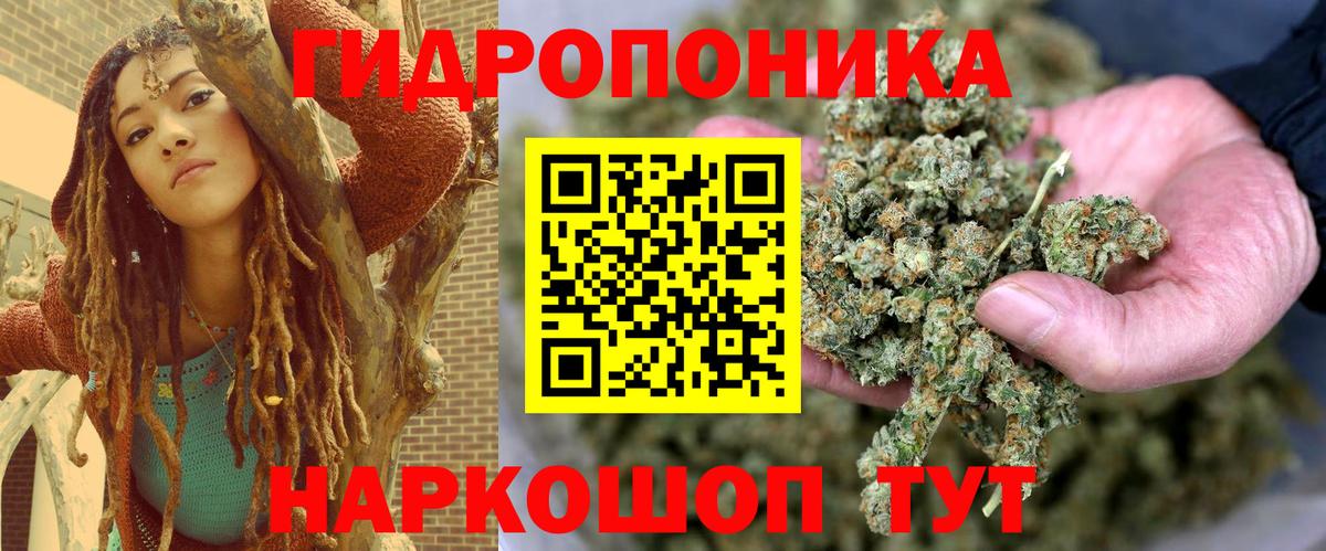 Бошки марихуана семена  Вход с VPN  Бошки марихуана тримм  Тамбов 